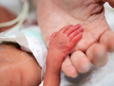 premature baby