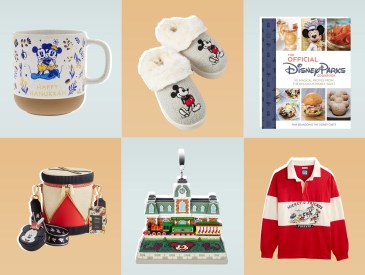 disney gifts for adults, gifts for dinsey adults, best gifts for disney adults, best disney gifts for adults 2024