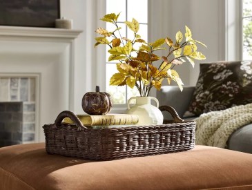Threshold designed with Studio McGee pumpkin